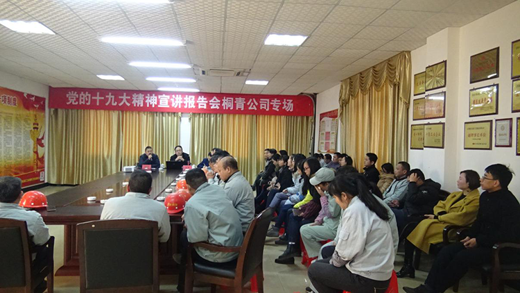 黨的十九大精神宣講報(bào)告會(huì)桐青公司專場